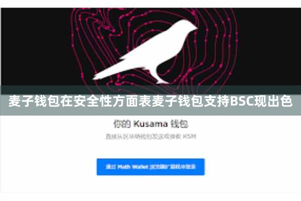 麦子钱包在安全性方面表麦子钱包支持BSC现出色