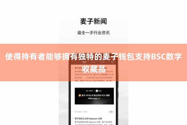 使得持有者能够拥有独特的麦子钱包支持BSC数字收藏品