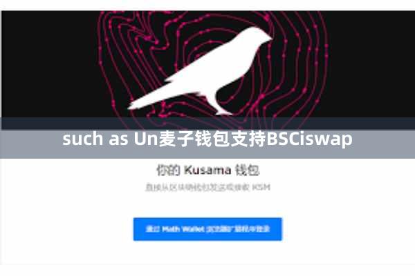 such as Un麦子钱包支持BSCiswap
