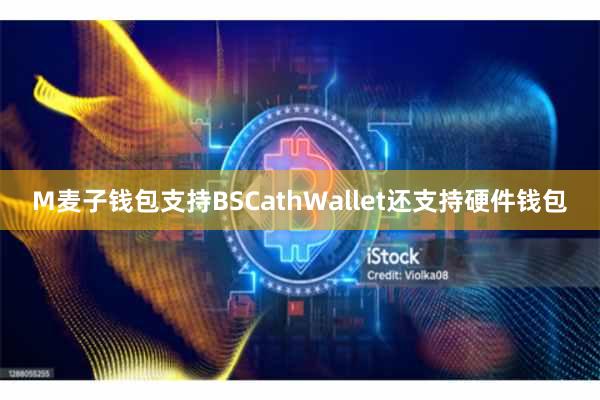 M麦子钱包支持BSCathWallet还支持硬件钱包