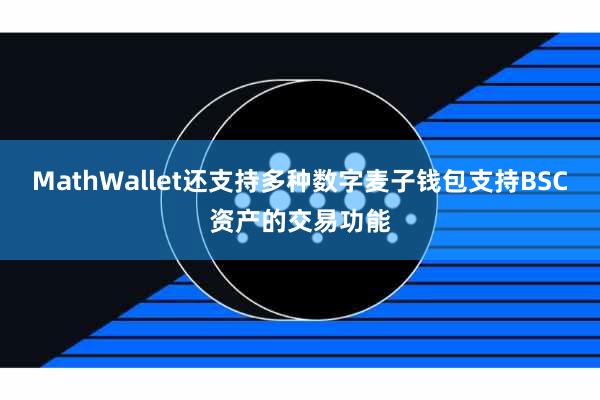 MathWallet还支持多种数字麦子钱包支持BSC资产的交易功能