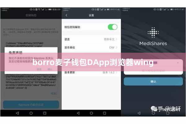 borro麦子钱包DApp浏览器wing