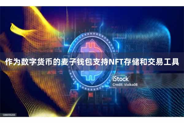 作为数字货币的麦子钱包支持NFT存储和交易工具