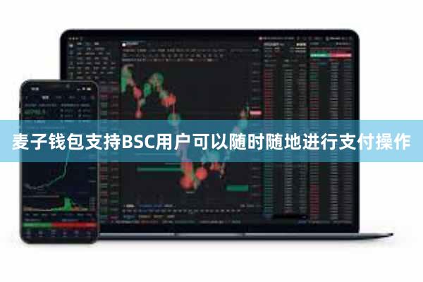 麦子钱包支持BSC用户可以随时随地进行支付操作