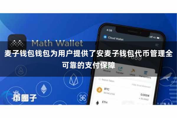 麦子钱包钱包为用户提供了安麦子钱包代币管理全可靠的支付保障