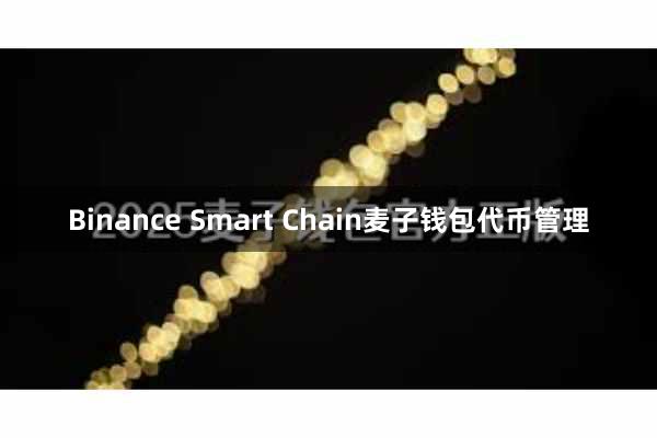 Binance Smart Chain麦子钱包代币管理