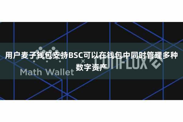用户麦子钱包支持BSC可以在钱包中同时管理多种数字资产