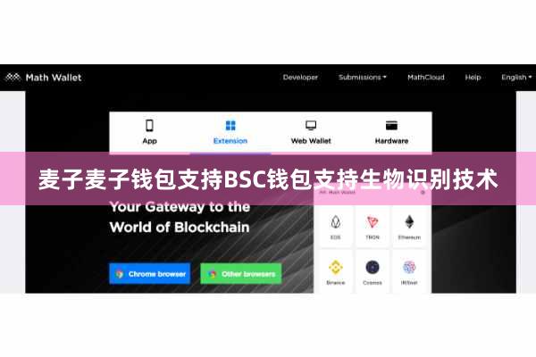 麦子麦子钱包支持BSC钱包支持生物识别技术