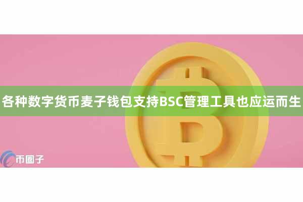 各种数字货币麦子钱包支持BSC管理工具也应运而生