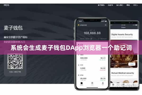 系统会生成麦子钱包DApp浏览器一个助记词