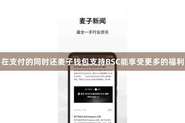 在支付的同时还麦子钱包支持BSC能享受更多的福利