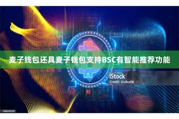麦子钱包还具麦子钱包支持BSC有智能推荐功能