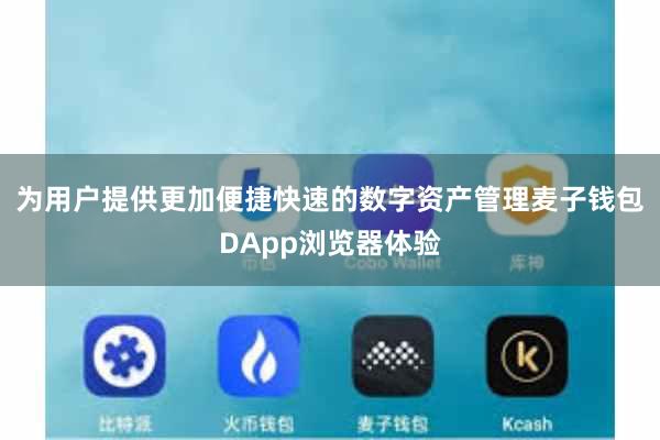 为用户提供更加便捷快速的数字资产管理麦子钱包DApp浏览器体验