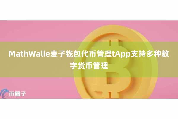 MathWalle麦子钱包代币管理tApp支持多种数字货币管理