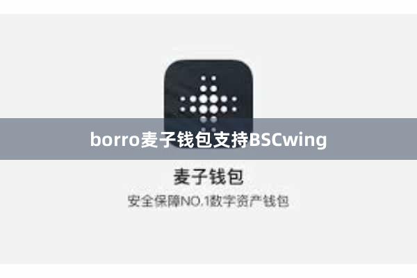 borro麦子钱包支持BSCwing