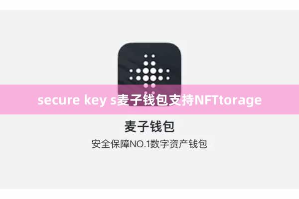 secure key s麦子钱包支持NFTtorage