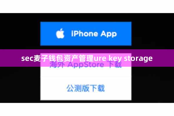 sec麦子钱包资产管理ure key storage