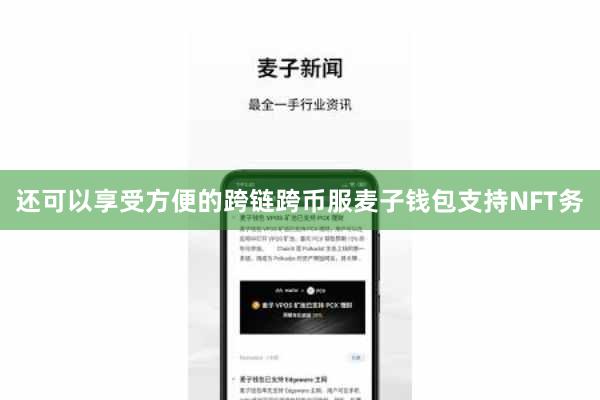 还可以享受方便的跨链跨币服麦子钱包支持NFT务