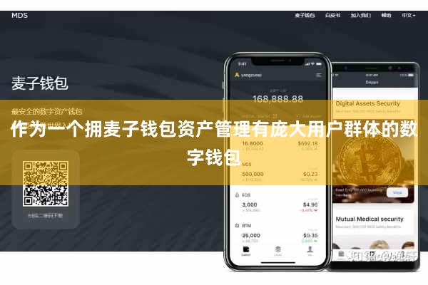 作为一个拥麦子钱包资产管理有庞大用户群体的数字钱包