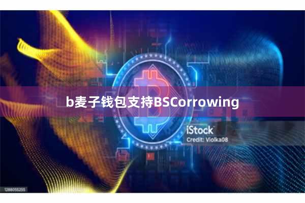b麦子钱包支持BSCorrowing