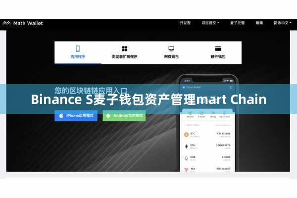 Binance S麦子钱包资产管理mart Chain