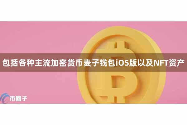 包括各种主流加密货币麦子钱包iOS版以及NFT资产