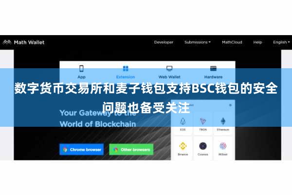 数字货币交易所和麦子钱包支持BSC钱包的安全问题也备受关注