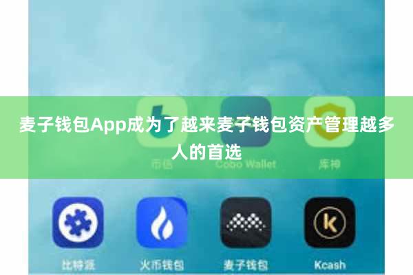 麦子钱包App成为了越来麦子钱包资产管理越多人的首选