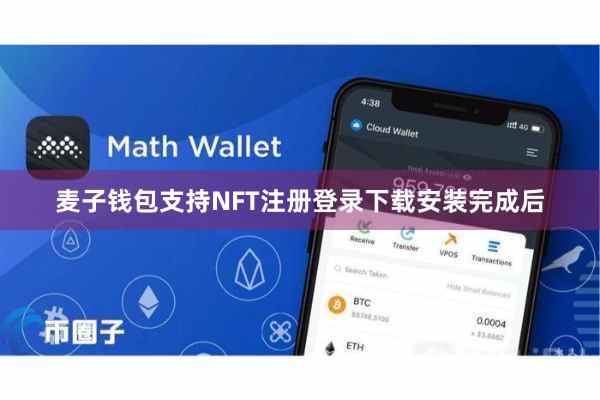 麦子钱包支持NFT注册登录下载安装完成后