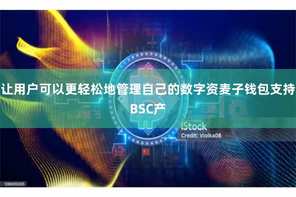 让用户可以更轻松地管理自己的数字资麦子钱包支持BSC产