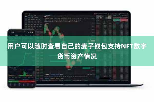 用户可以随时查看自己的麦子钱包支持NFT数字货币资产情况