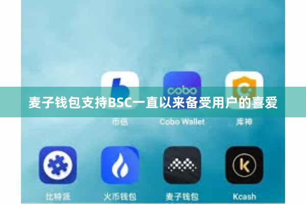 麦子钱包支持BSC一直以来备受用户的喜爱