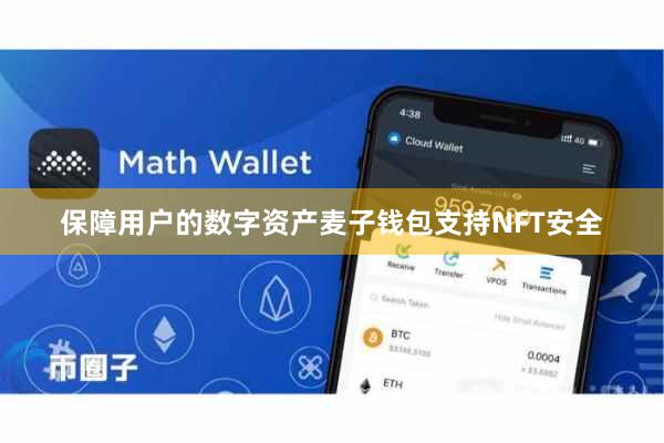 保障用户的数字资产麦子钱包支持NFT安全