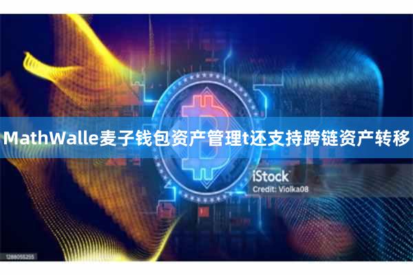 MathWalle麦子钱包资产管理t还支持跨链资产转移